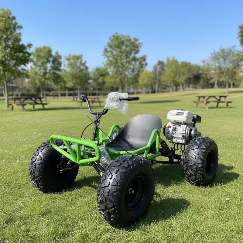 Outdoor Power And Pedal - 212CC 4행정 페달 고카트, 공기주입식 스틸